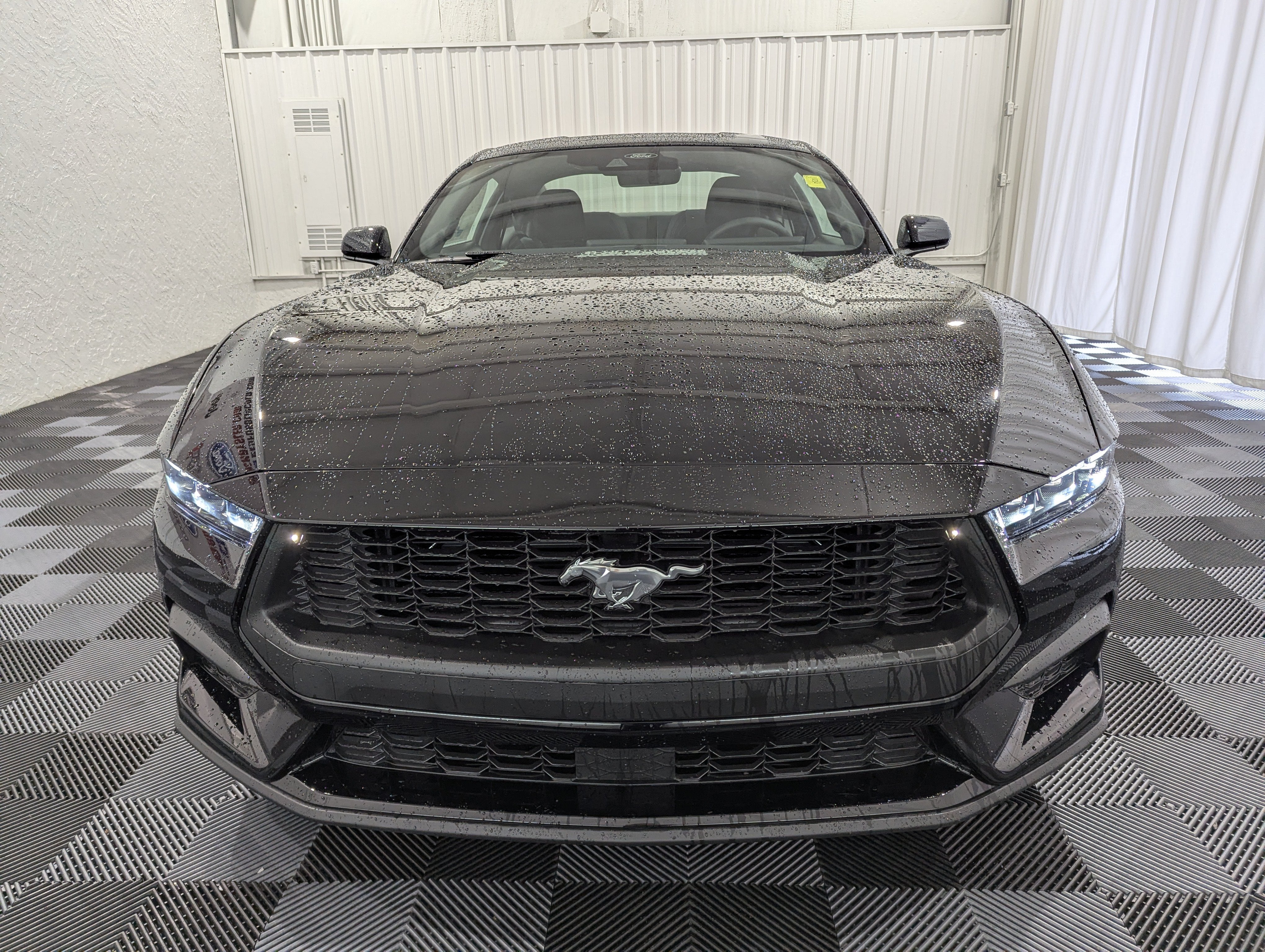 2026 Ford Mustang Base