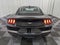 2026 Ford Mustang Base