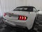 2026 Ford Mustang GT Premium Convertible